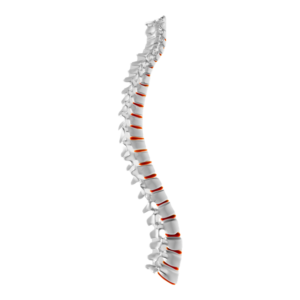 Panchakarma for Spine Problems